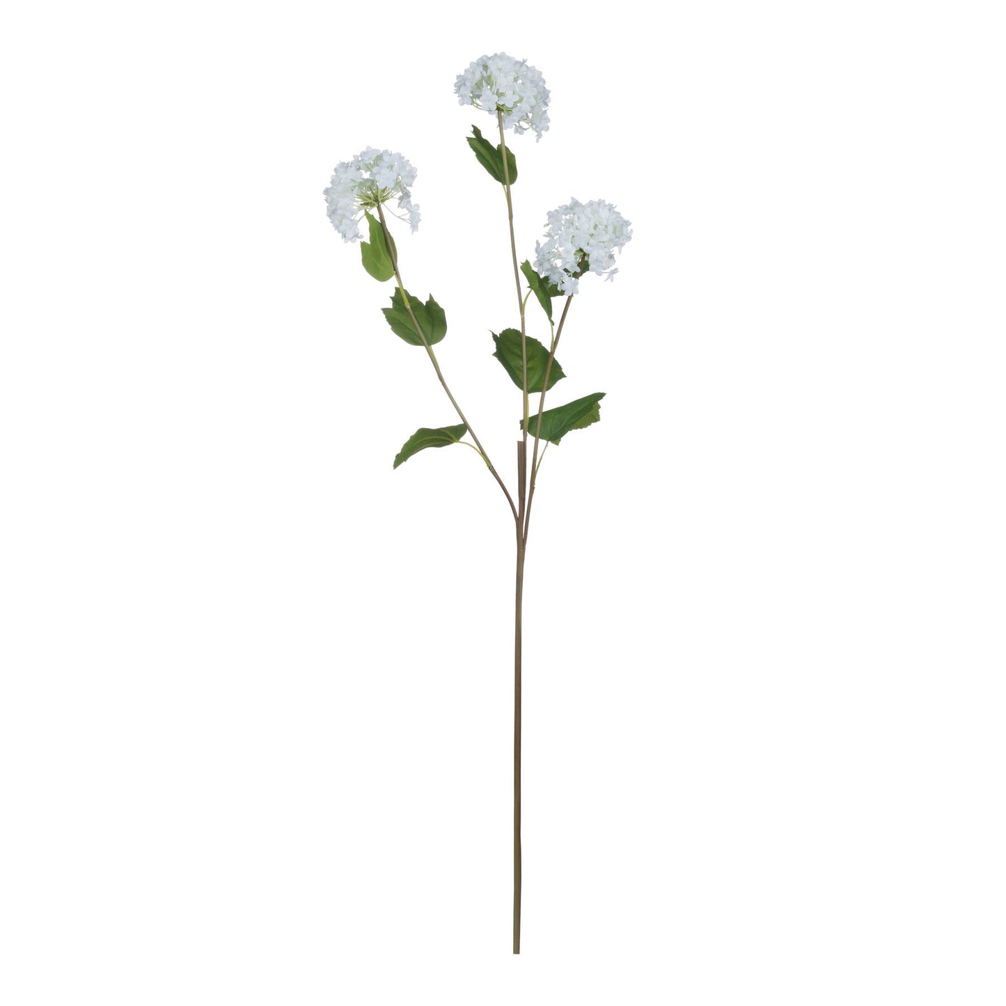 DRAKELOW SHOWHOME SPRUCE VIBURNUM OPULUS SPRAY