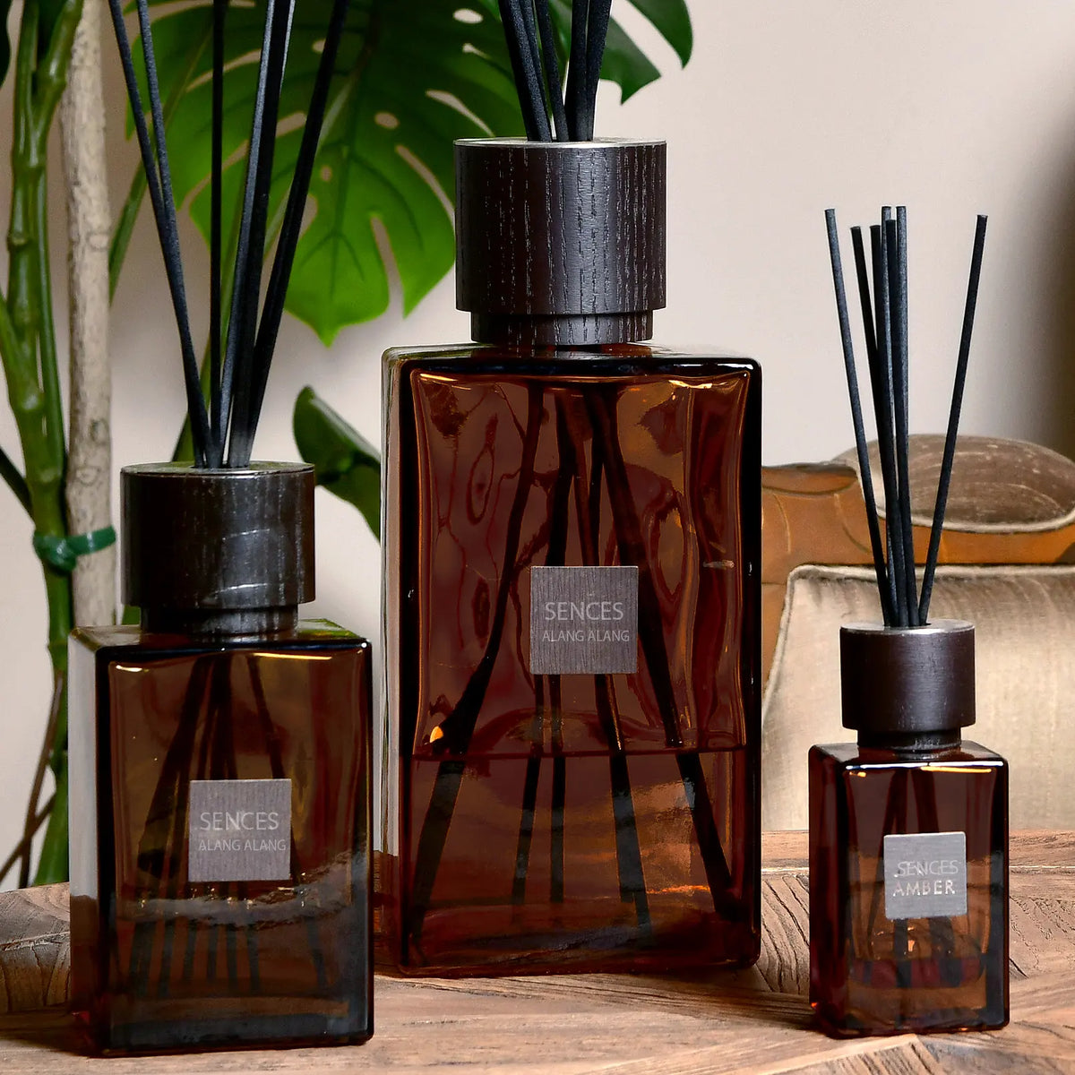 Sences Amber Alang Alang Reed Diffuser