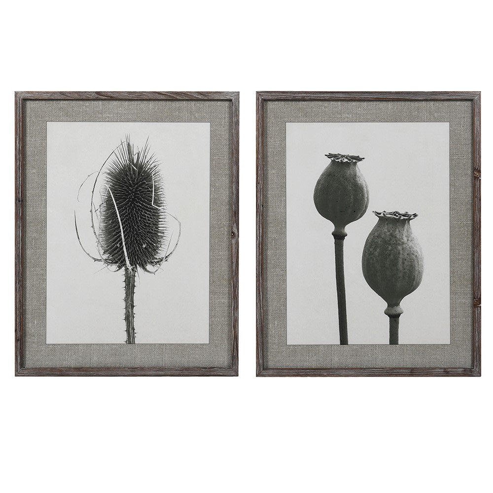 Set of 2 Poppy & Thistle