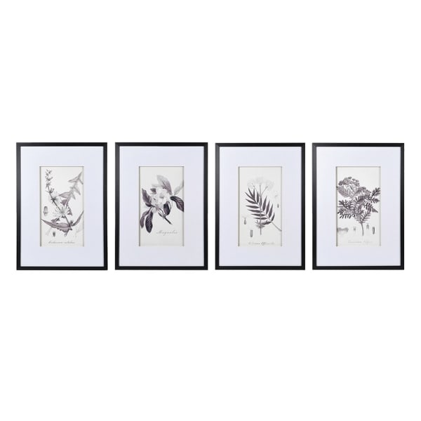 Set of 4 Monochrome Botanical Pictures
