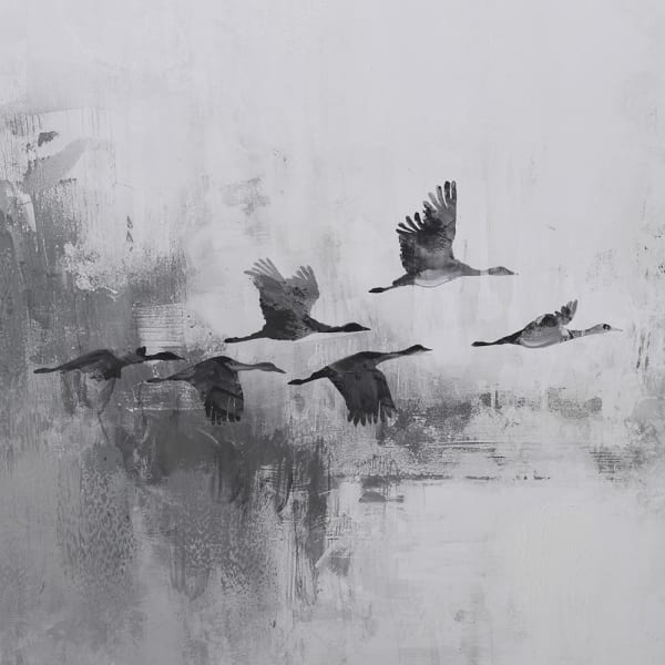 'Fly Away' Canvas