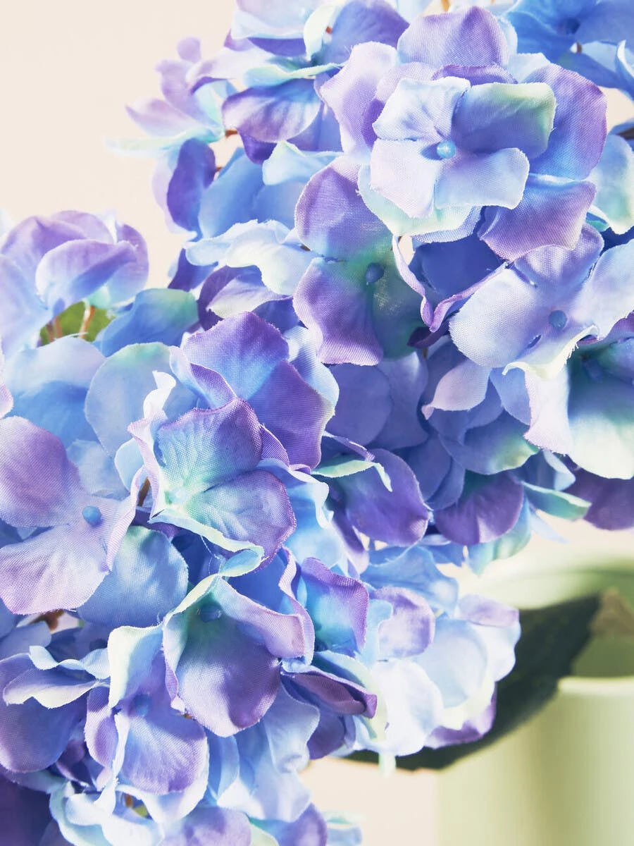 Hydrangea Single Stem - Blue