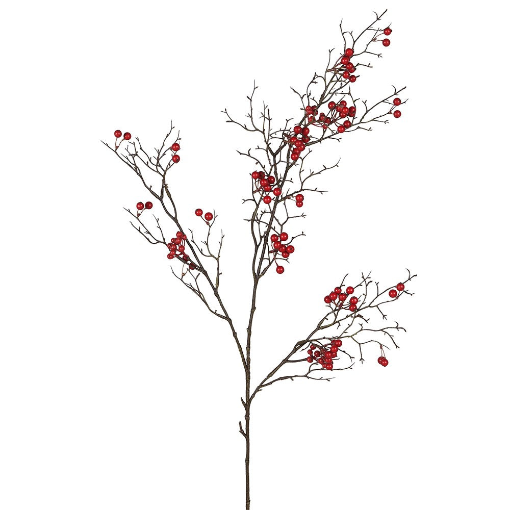 Red Berries Stem