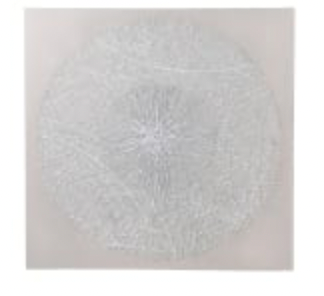 Dandelion Textural Swirl Canvas