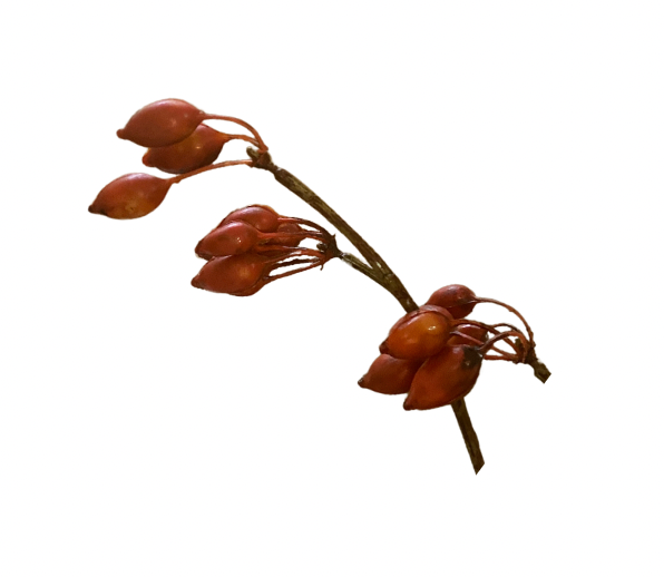 Rosehip Berry Spray