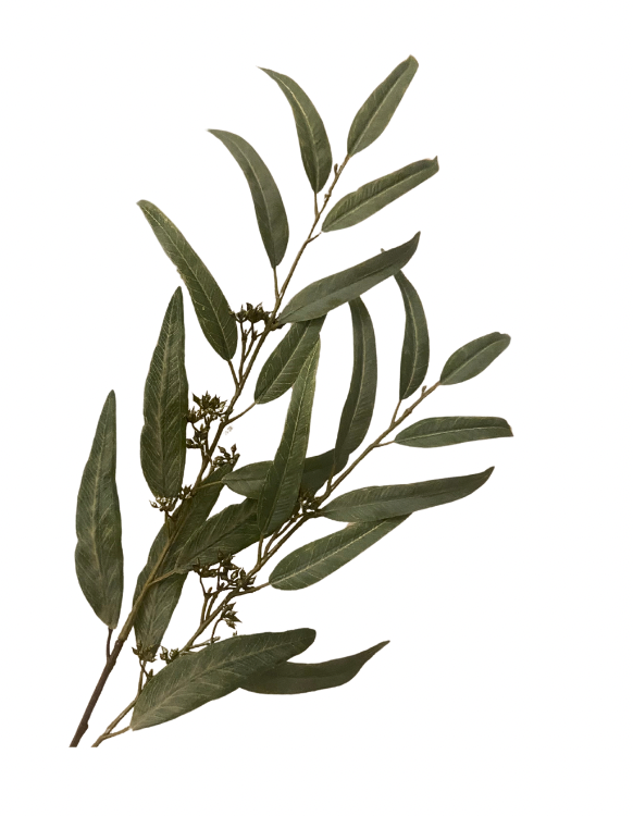 Green Willow Eucalyptus Spray