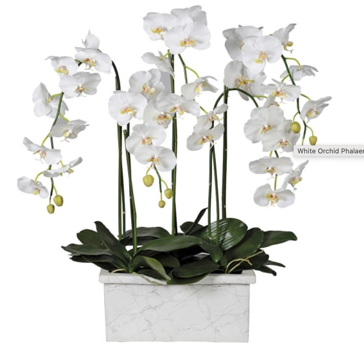 Large Orchid White Marble Potted Plant