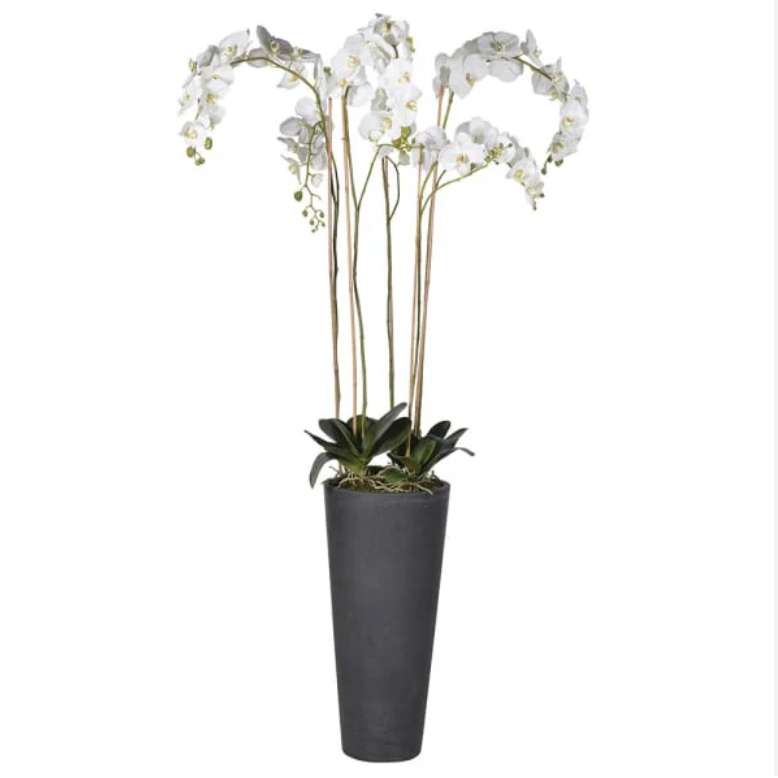 Standing Orchid Planter