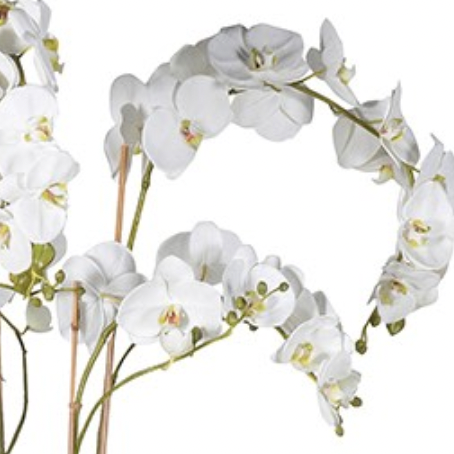 Standing Orchid Planter