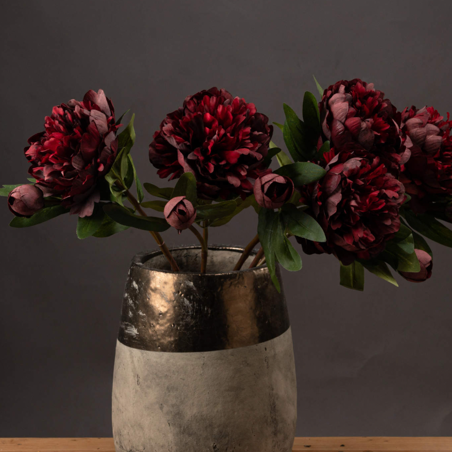 Burgundy Peony Rose
