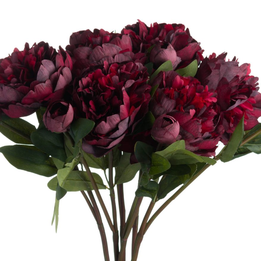 Burgundy Peony Rose