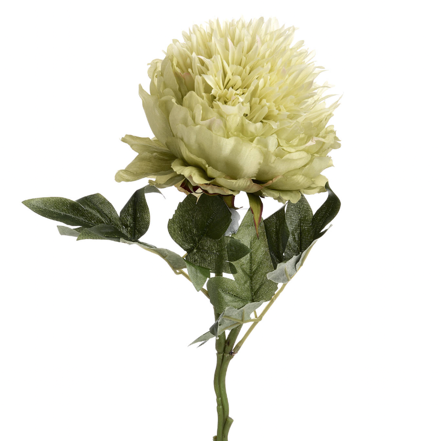 Green Peony