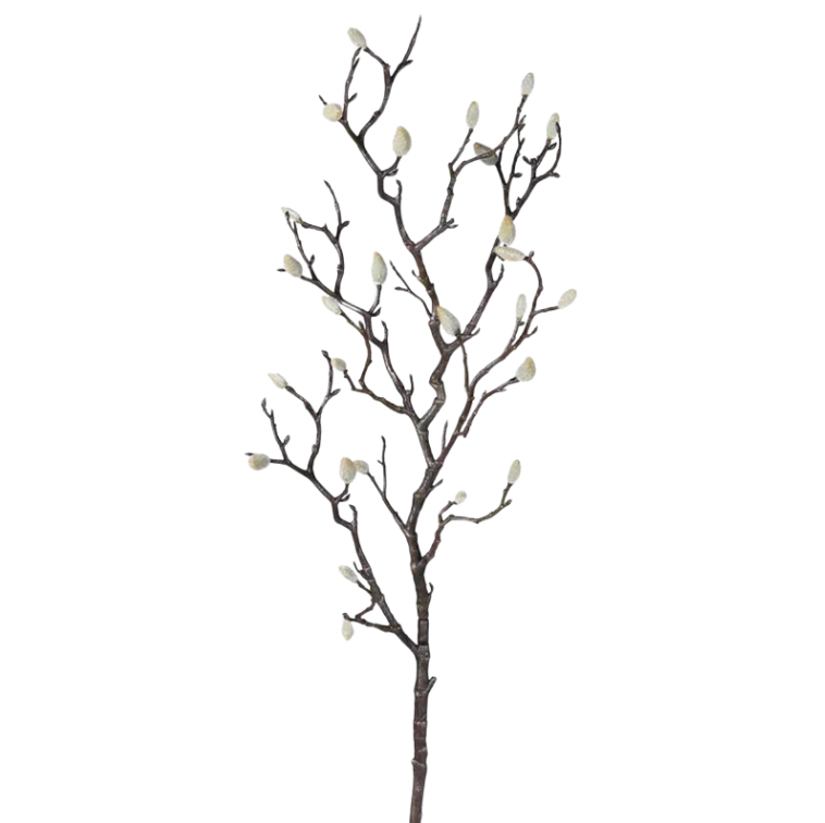 Magnolia Bud Branch