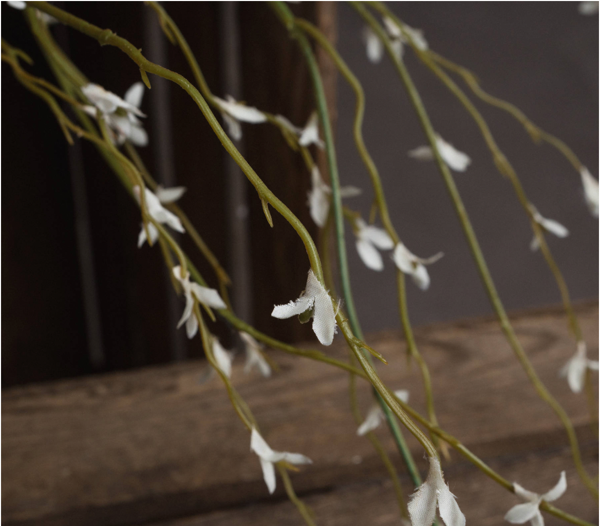 White Willow Spray