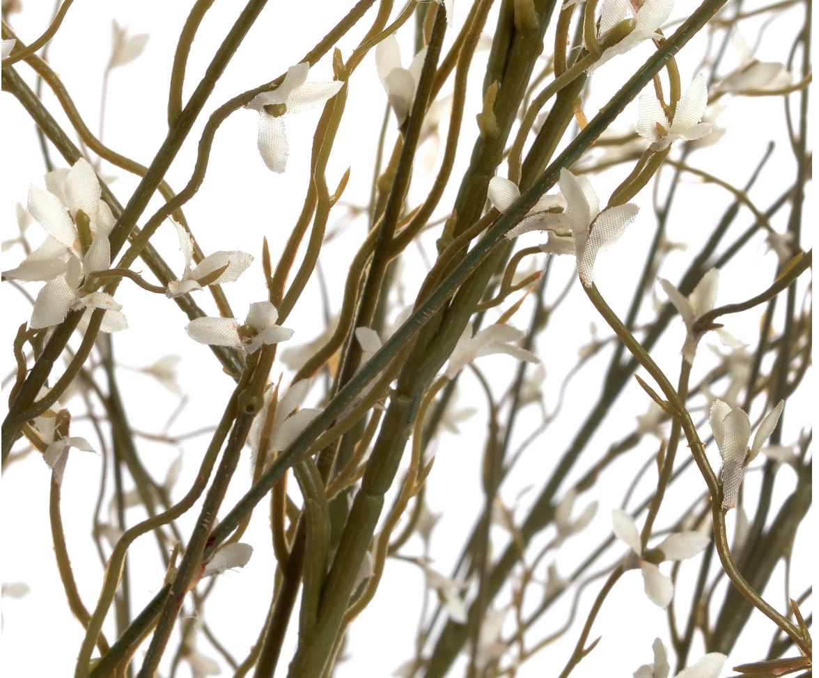White Willow Spray