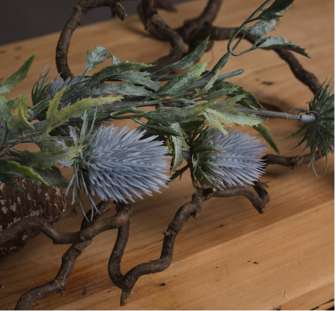 Eryngium Blue Thistle