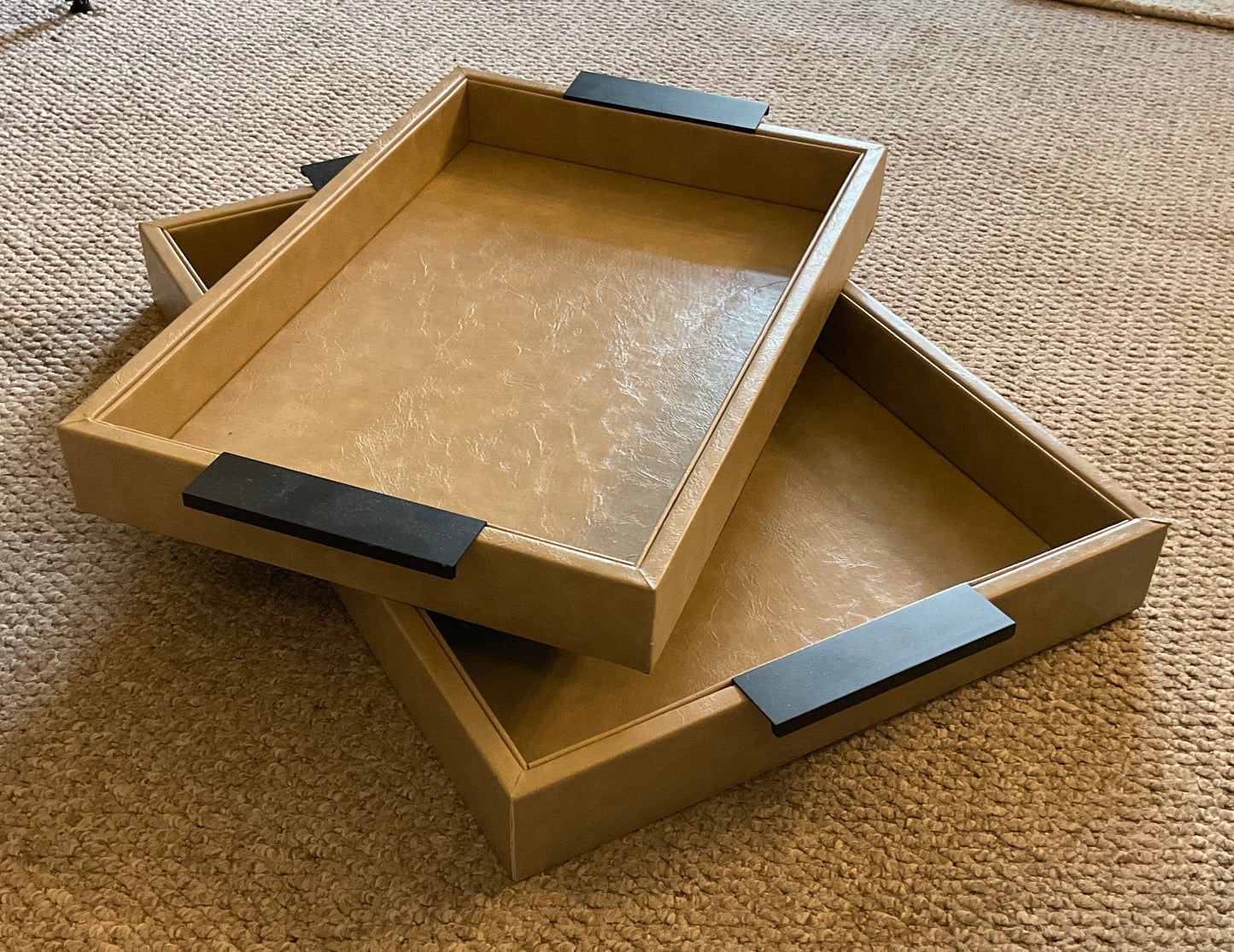 Pair of Faux Leather Trays