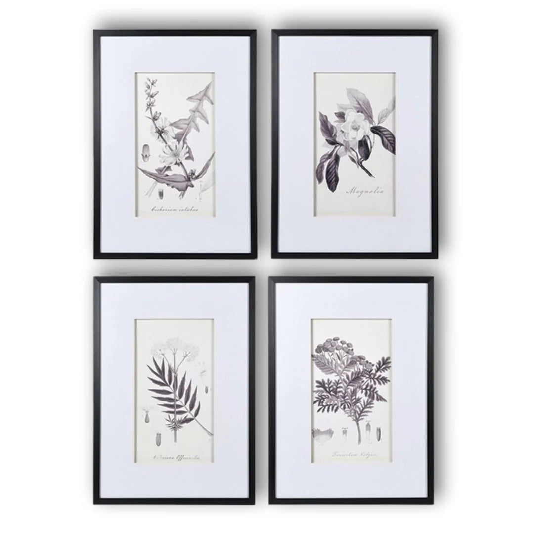 Set of 4 Monochrome Botanical Pictures
