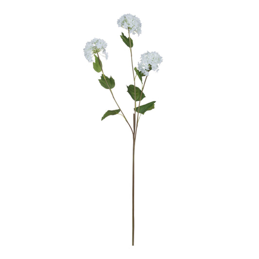 DRAKELOW SHOWHOME SPRUCE VIBURNUM OPULUS SPRAY