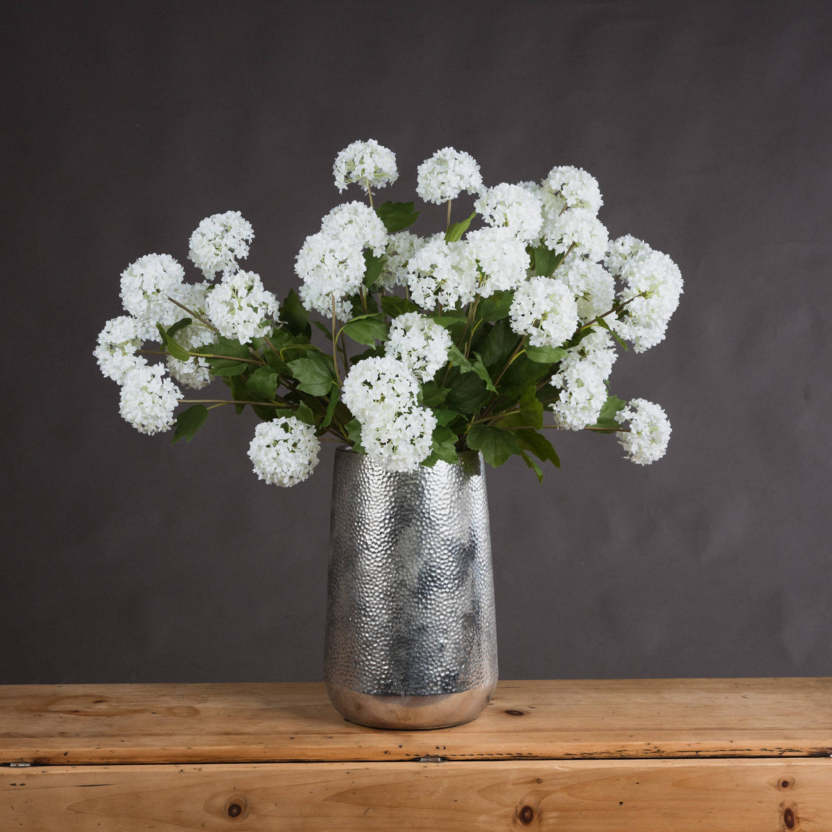Viburnum Opulus Stem
