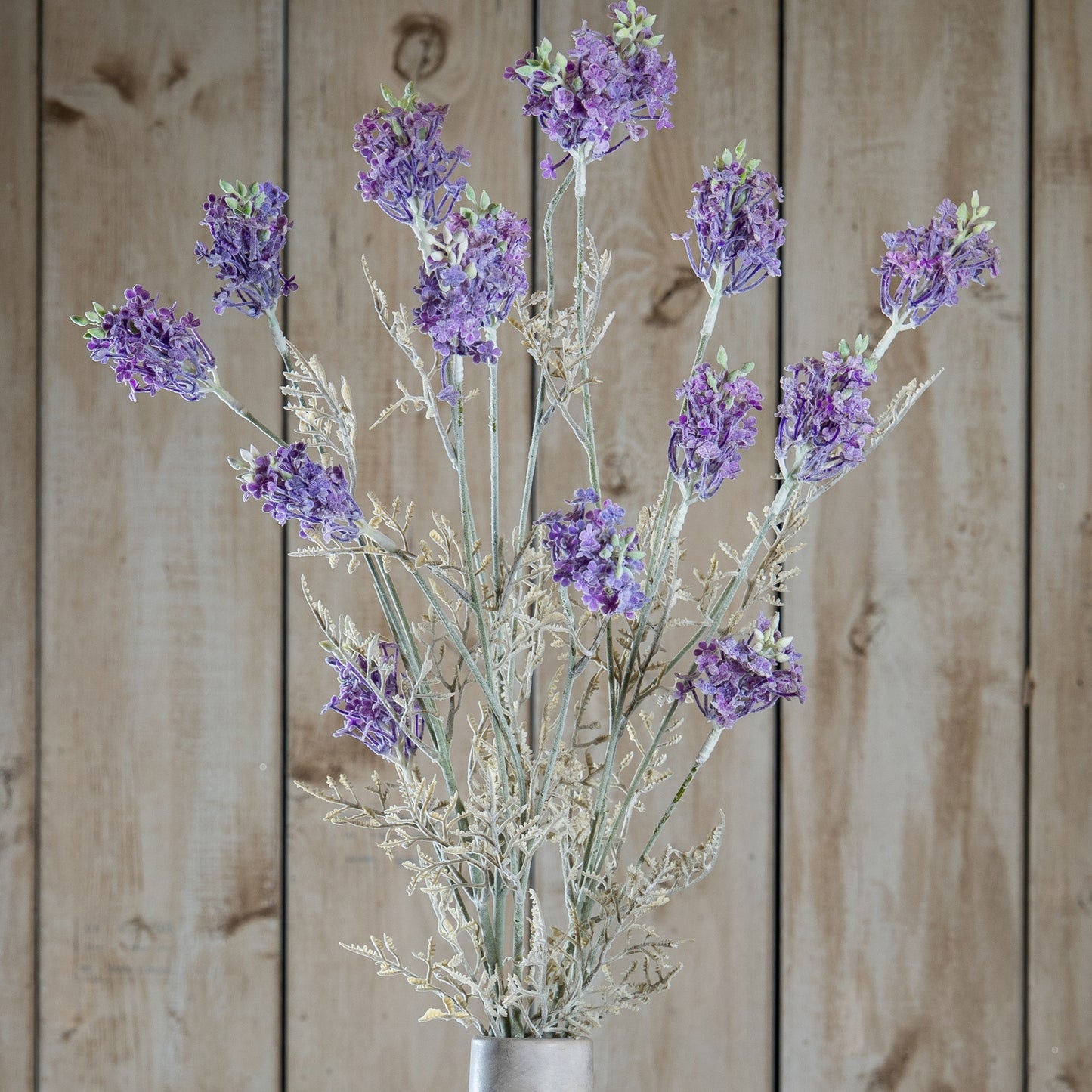 Purple Meadow Flower Stem
