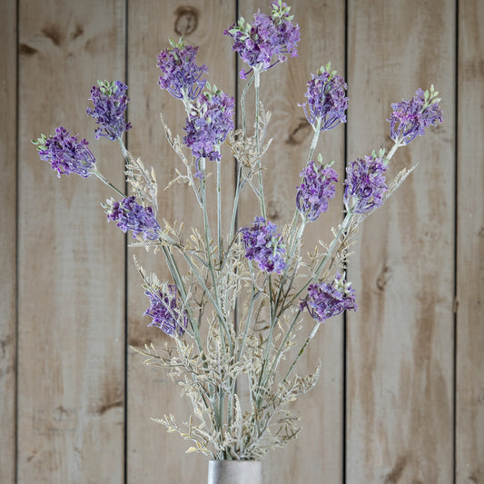 Purple Meadow Flower Stem