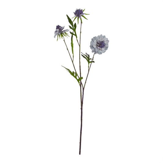 DRAKELOW SHOWHOME SPRUCE BLUE SCABIOUS STEM