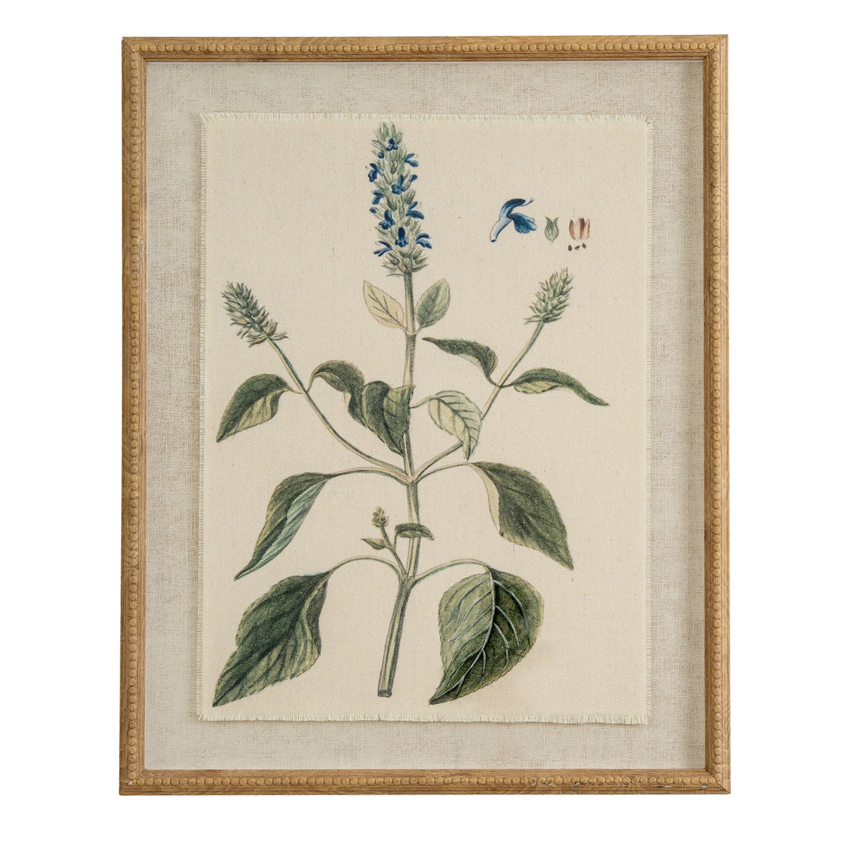 Flora & Fauna Collection Salvia on Linen in Beaded Frame