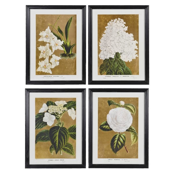 Set of 4 White Florals Wall Pictures