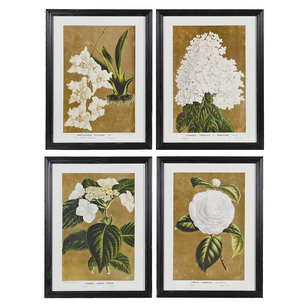 Set of 4 White Florals Wall Pictures
