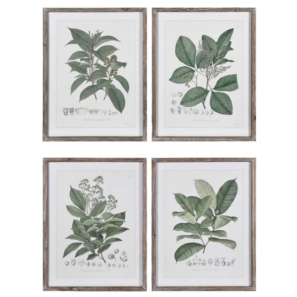 Set of 4 Perennial Herbs Wall Art