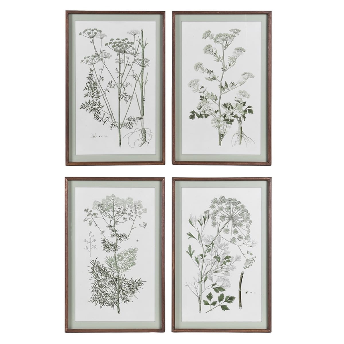 Set of 4 Meadowsweet Collective Prints