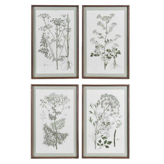 Set of 4 Meadowsweet Collective Prints