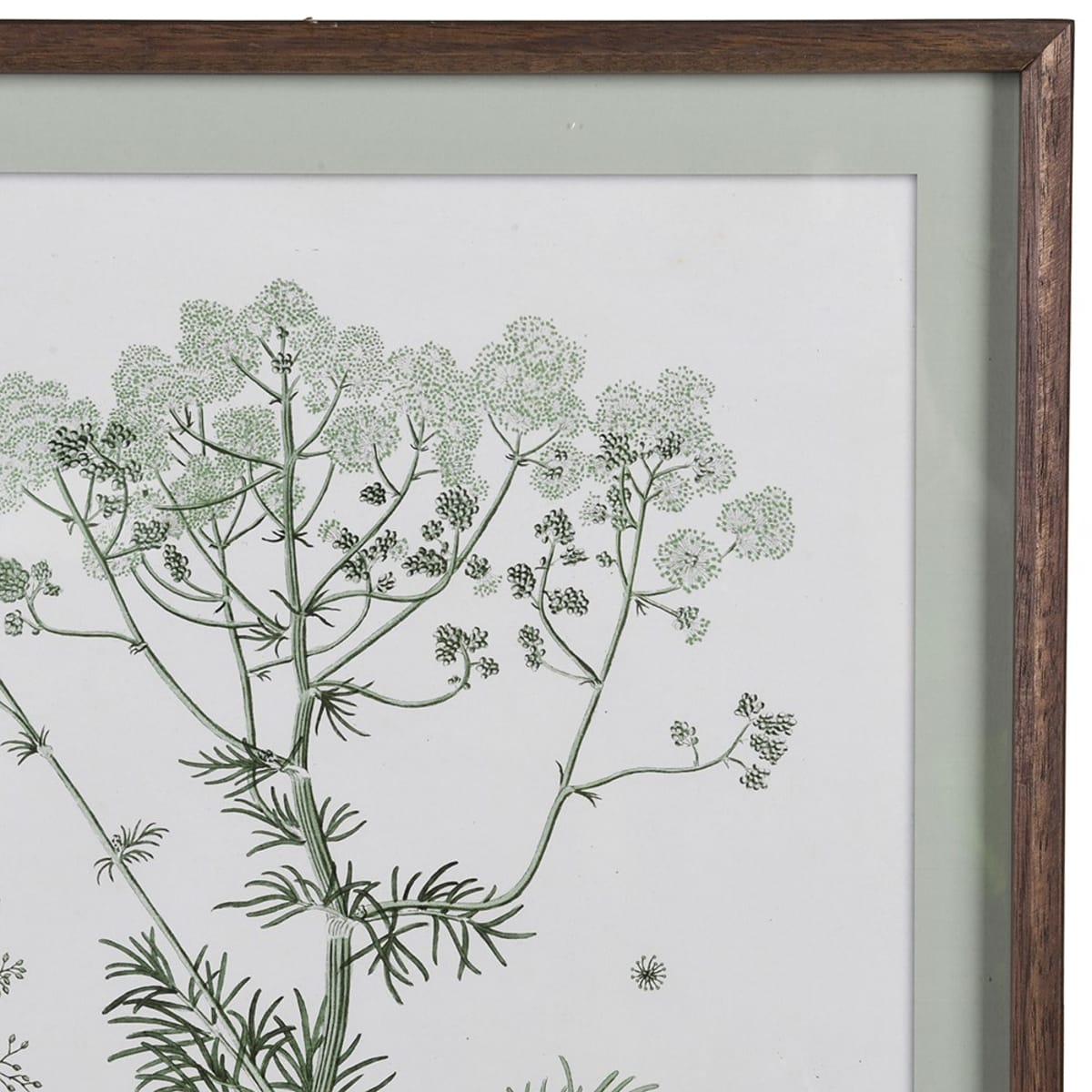 Set of 4 Meadowsweet Collective Prints