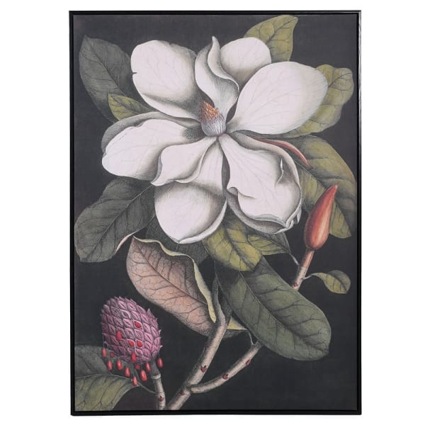 Magnolia Framed Canvas