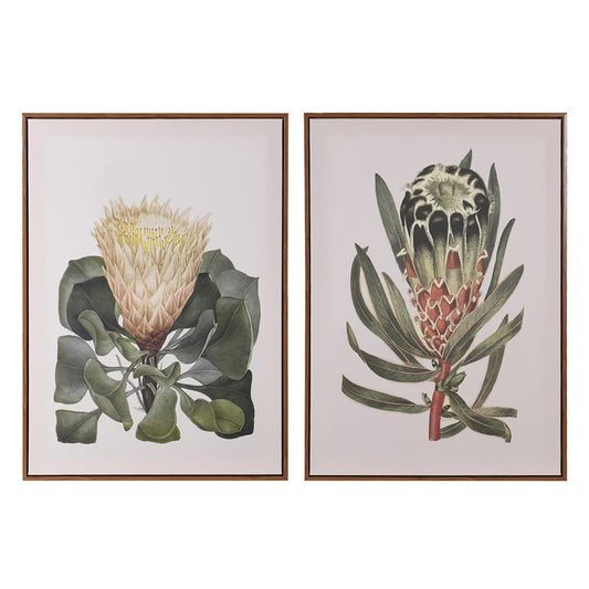 Set of 2 Protea Framed Pictures