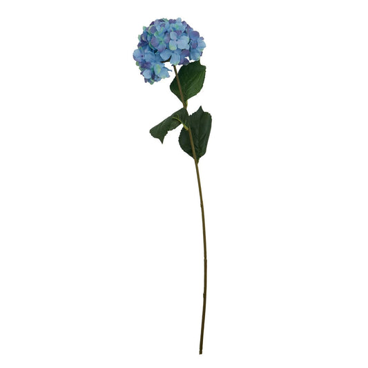 Hydrangea Single Stem - Blue