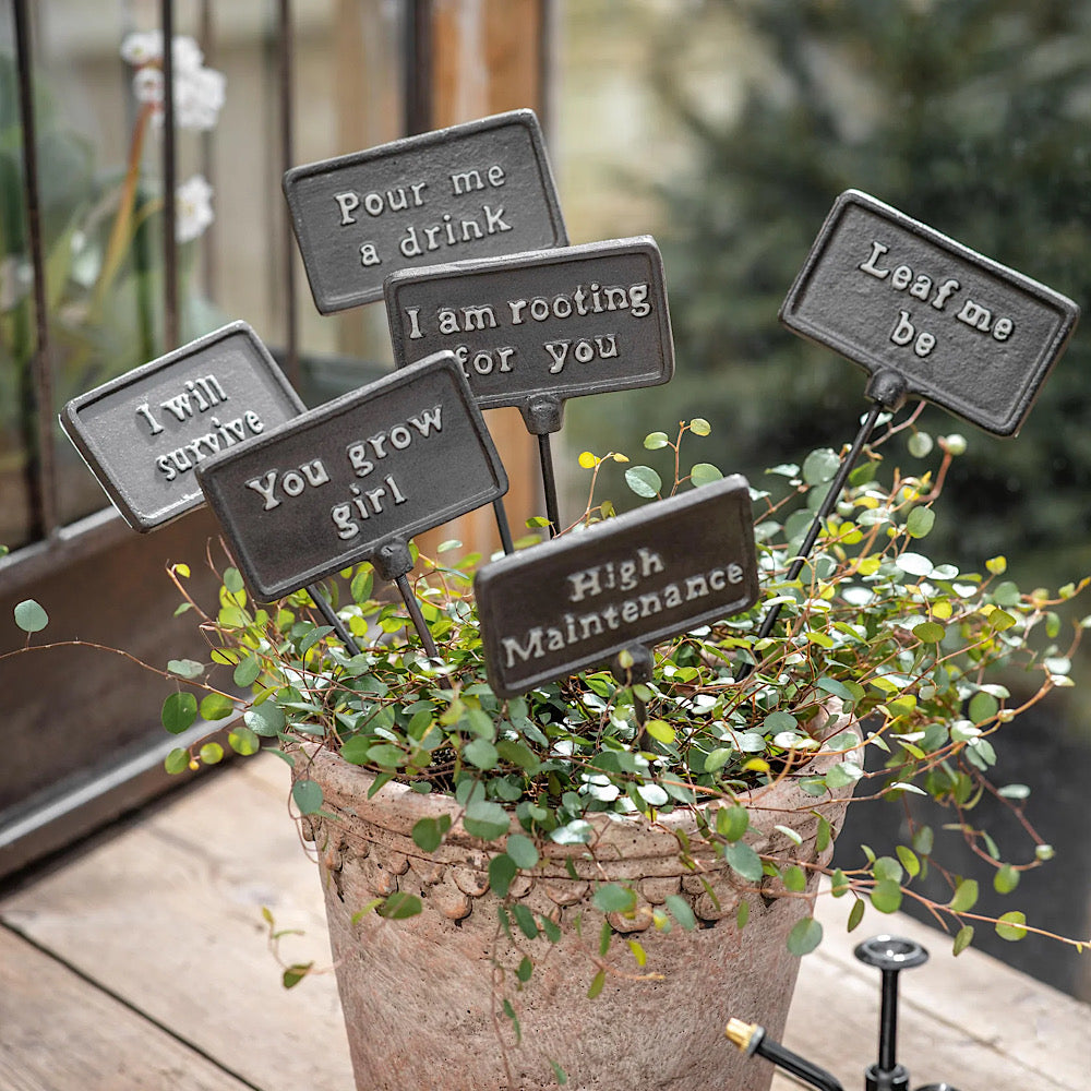 Playful iron plant stakes with humorous phrases