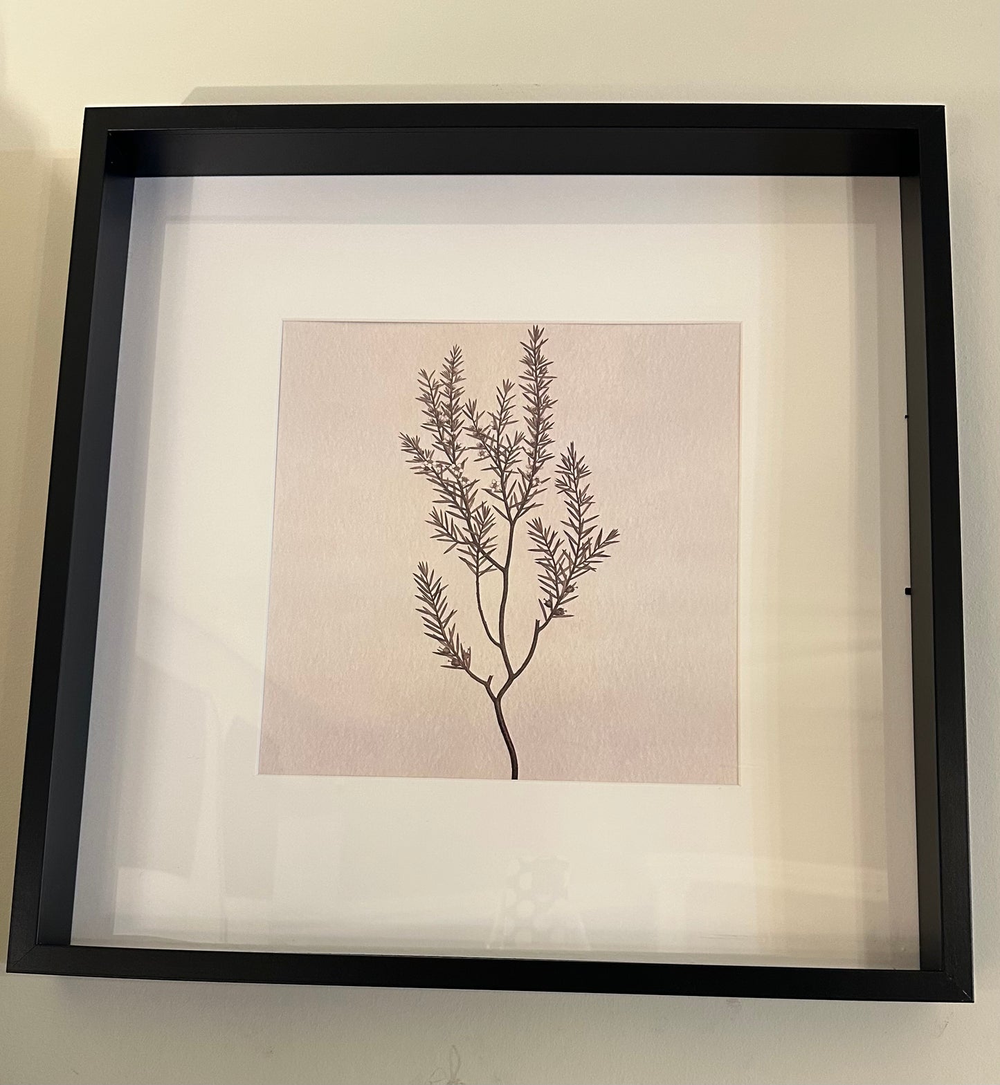 Floral framed wall print