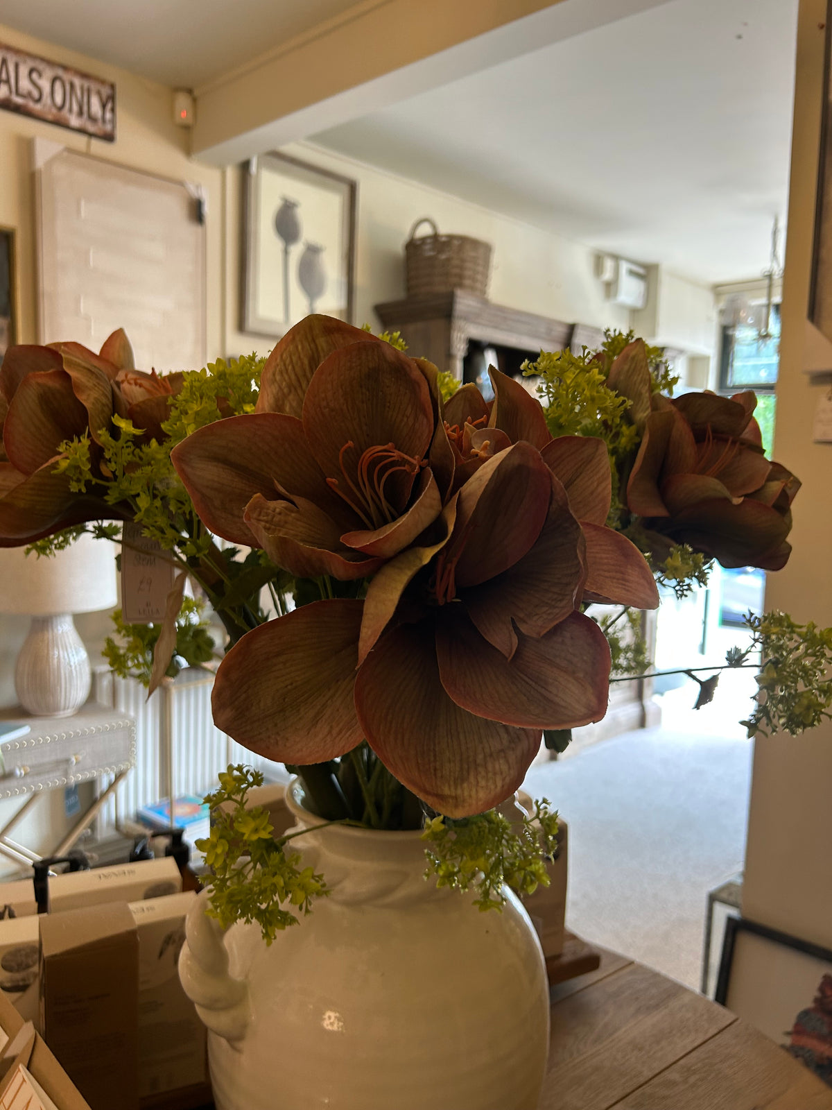 Pink and green amaryllis stem