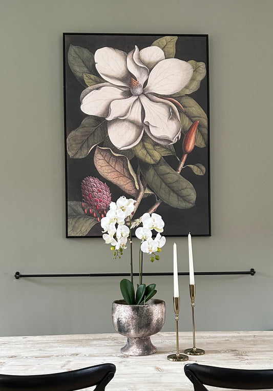 Magnolia Framed Canvas