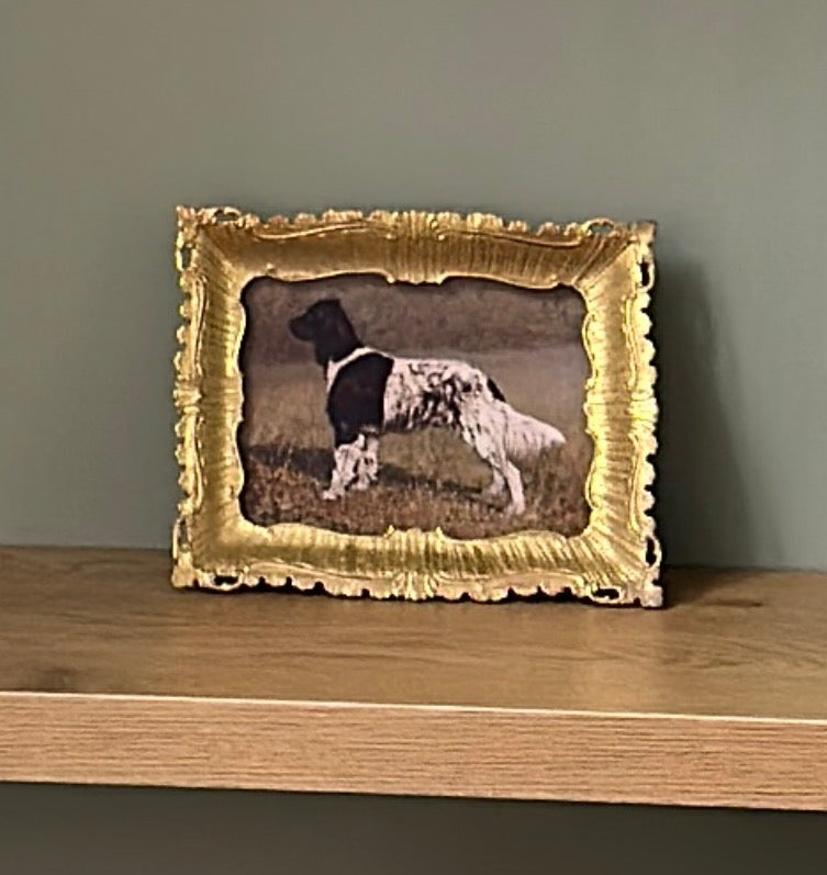 Spaniel in Gold Frame