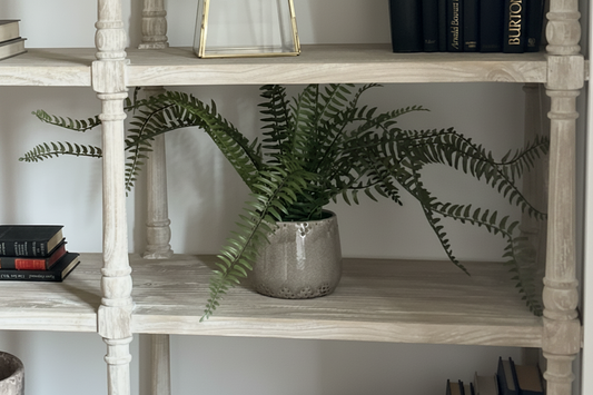 Fern in Khaki Ceramic Pot