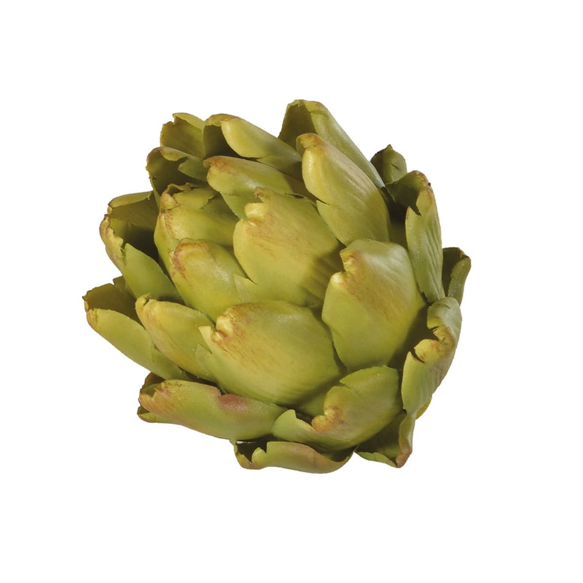 Green Artichoke Head