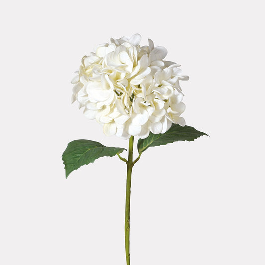 White Real Feel Hydrangea