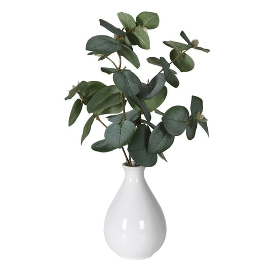 DRAKELOW SHOWHOME SPRUCE POTTED PLANT