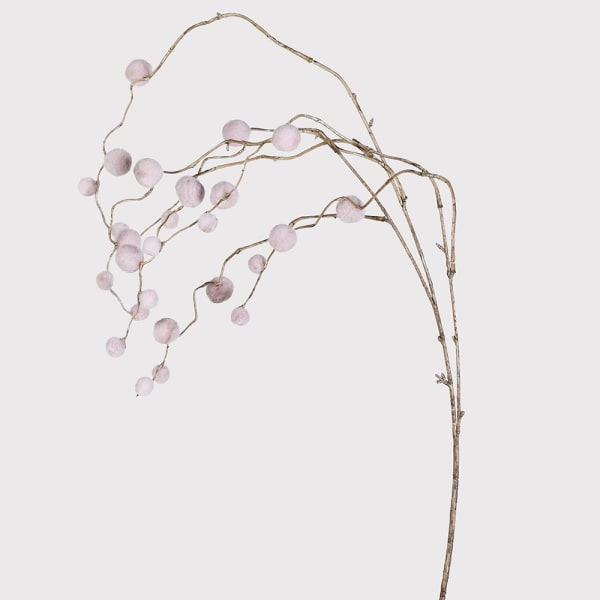 Natural Cotton Grass