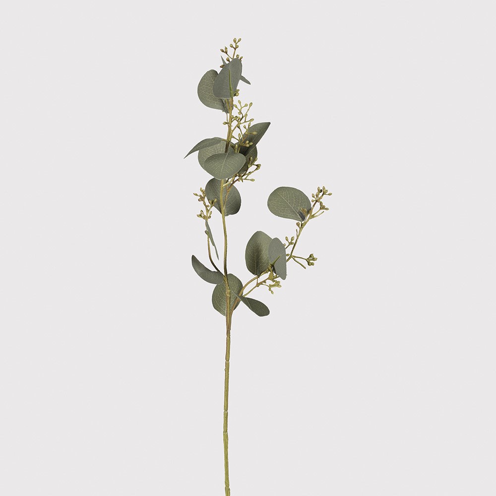 Natural Eucalyptus Leaves with Seeds Spray