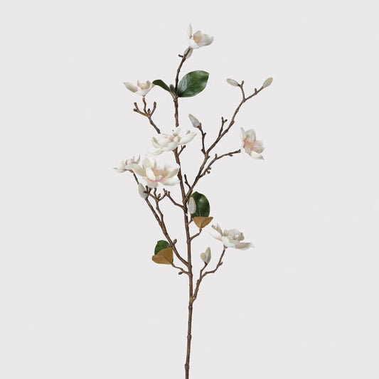 DRAKELOW SHOWHOME SPRUCE MAGNOLIA SPRAY