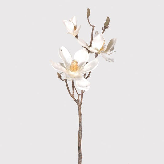 DRAKELOW SHOWHOME ASPEN MAGNOLIA BRANCH